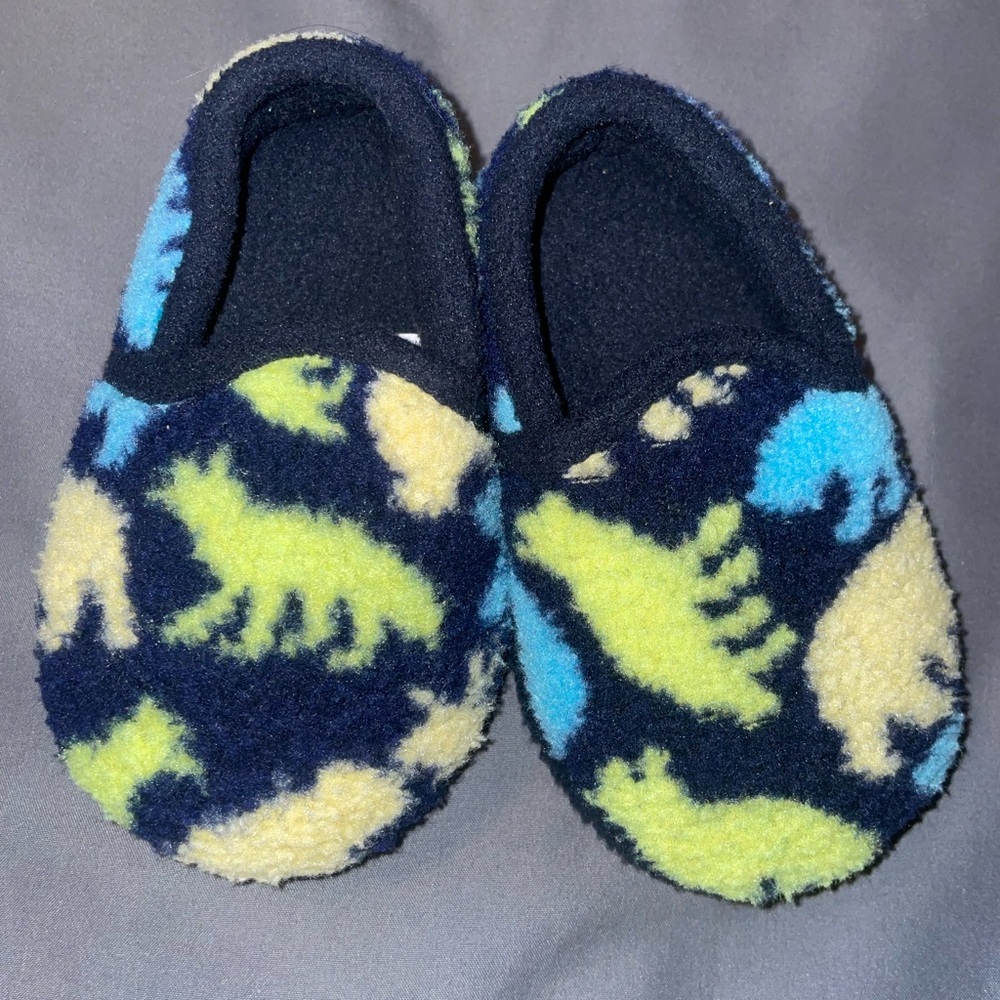 Dinosaur Print Fleece Slippers